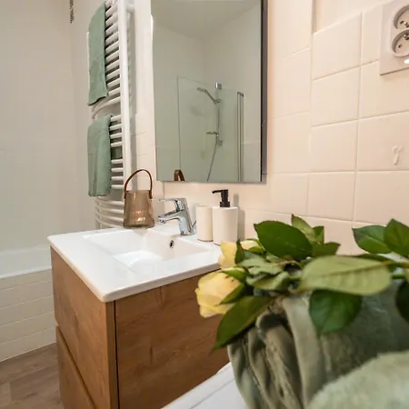 Apartment Standing, Confort, Centre Ville,4 Personnes Saint-Etienne (Loire)